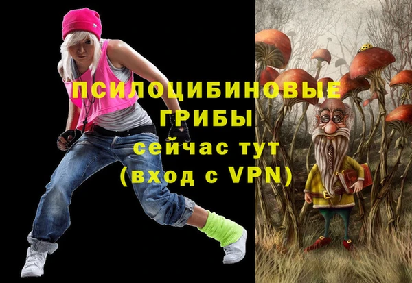 гидра Аркадак