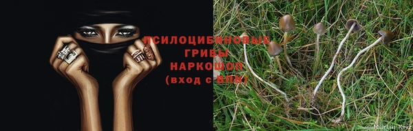 спиды Армянск
