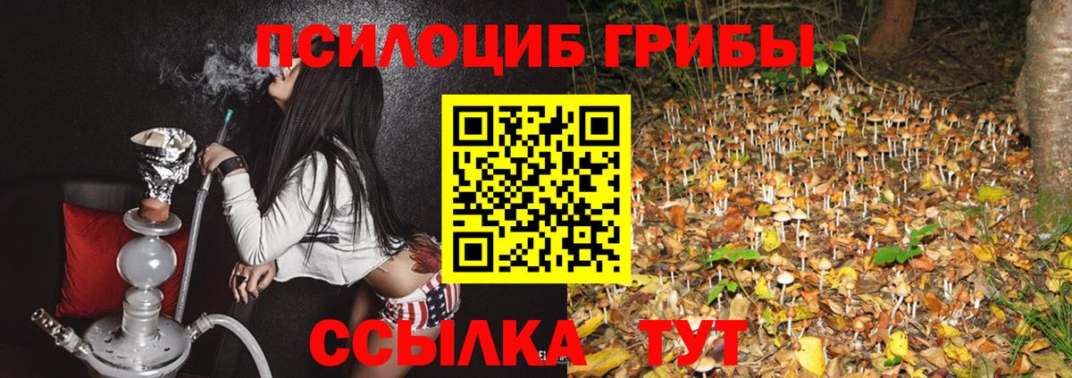 Псилоцибиновые грибы MAGIC MUSHROOMS Алексин