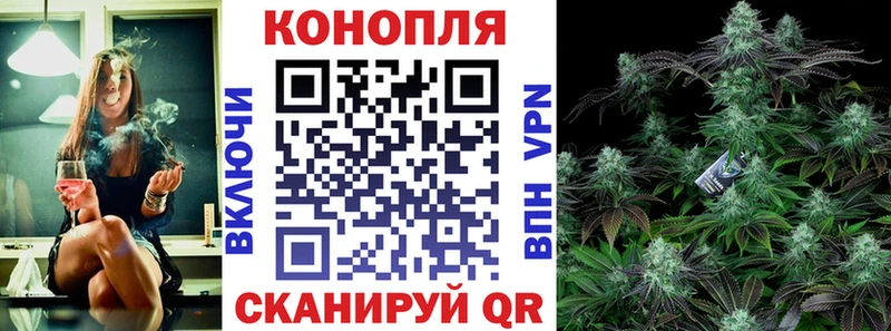 Бошки Шишки White Widow мега tor Алексин где купить